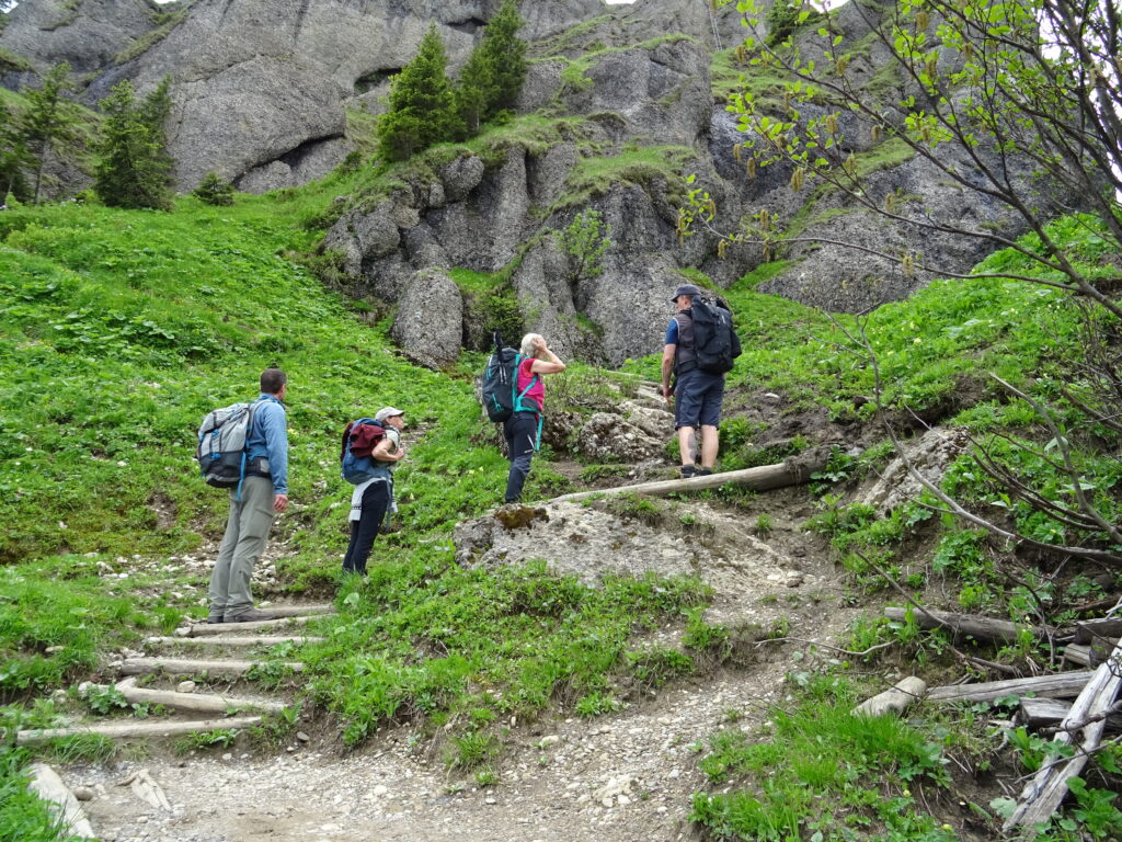 Kleine Übungen in leichtem Gelände. © Stefan Volgmann