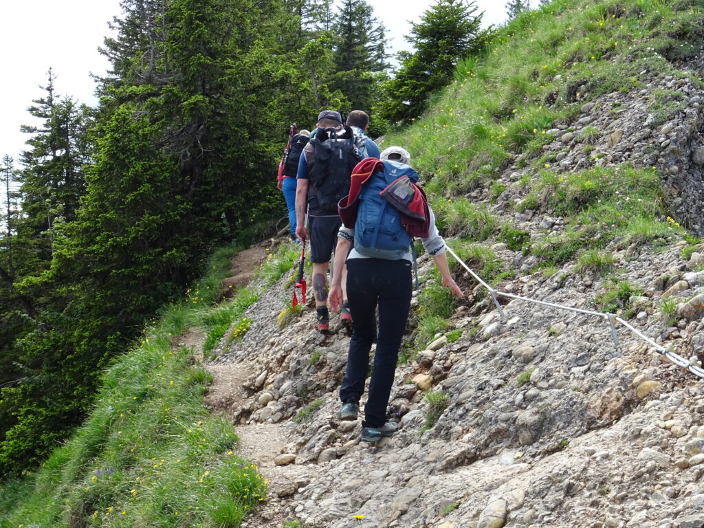 Aufstieg am Drahtseil. © Stefan Volgmann