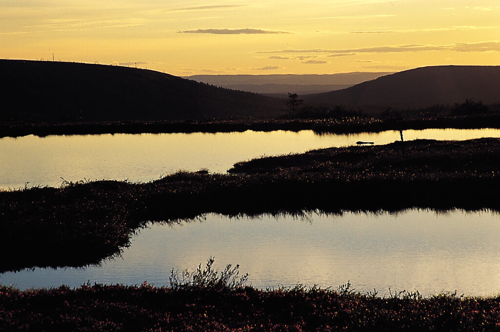 Die goldene Abendsonne taucht das Sälenfjäll in ein majestätisches Licht. © Peter Mertz