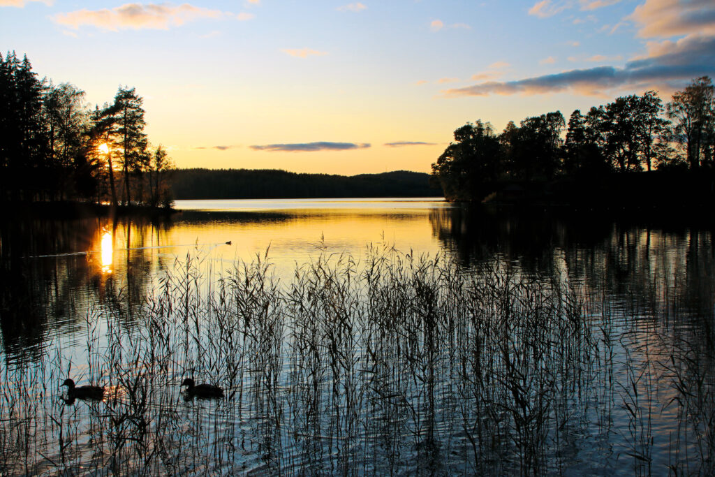 Sommernacht am Lelången bei Bengtsfors. © Peter Mertz